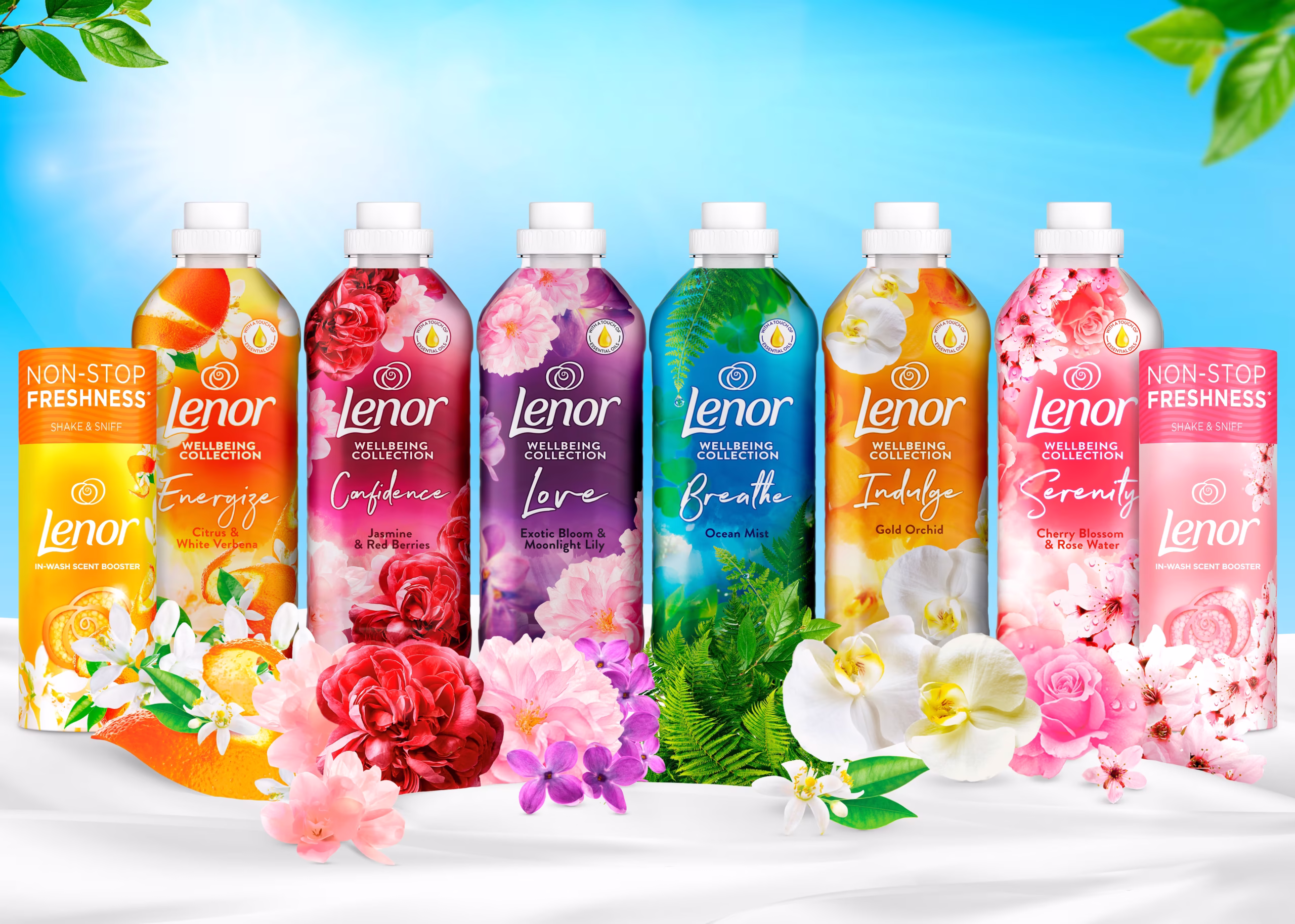 Wholesale Lenor Supplier